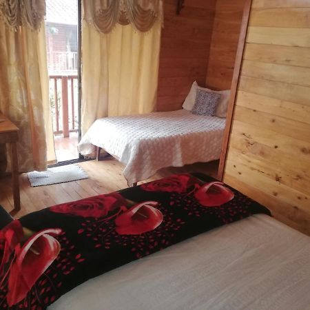 Cabanas San Gerardo San Gerardo de Dota Kültér fotó